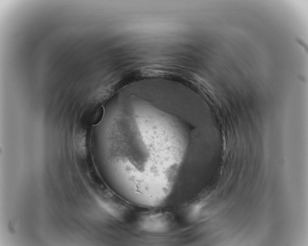 X0000096220267200801251103