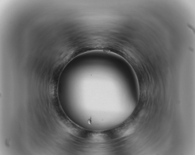 X0000096220268200801251103