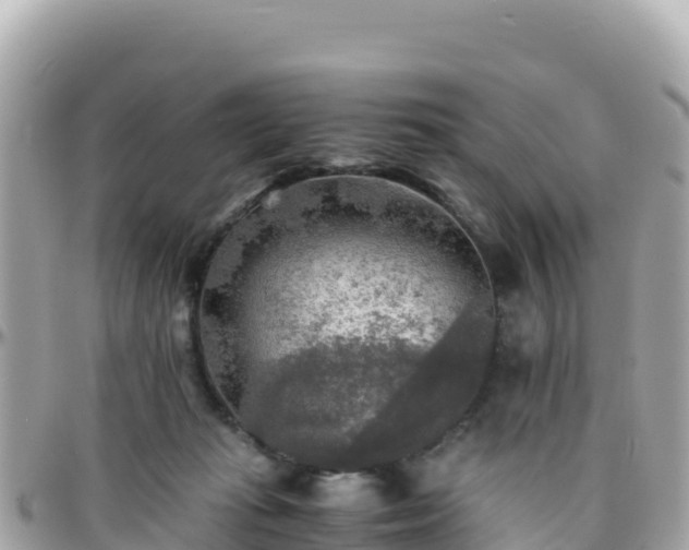 X0000096220269200801251103