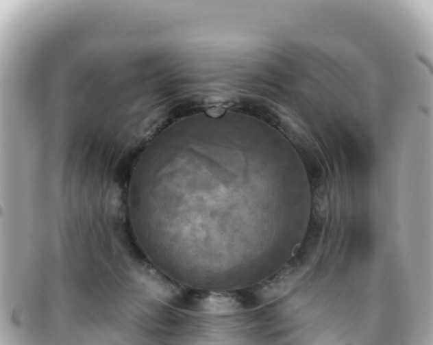 X0000096220270200801251103