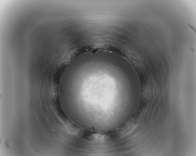 X0000096220272200801251103