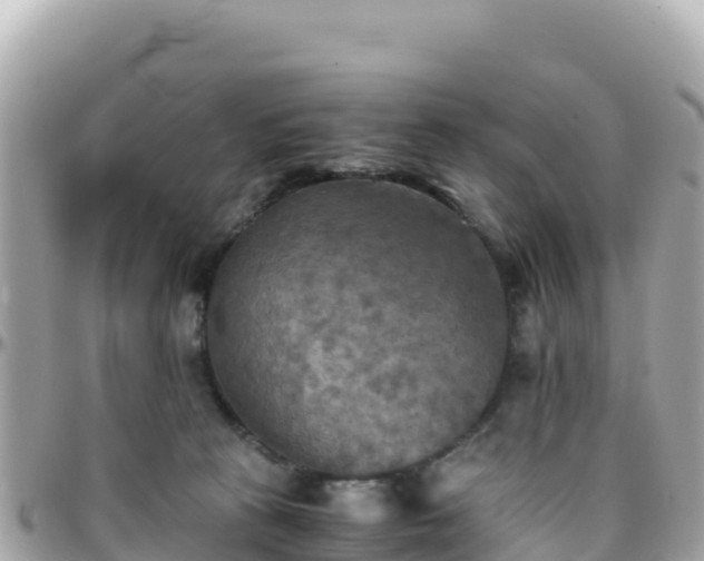 X0000096220273200801251103