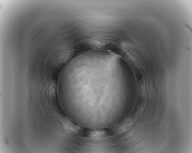 X0000096220274200801251103