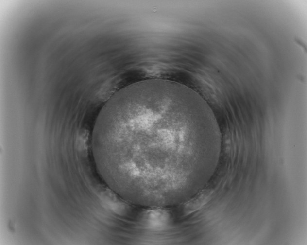 X0000096220275200801251103