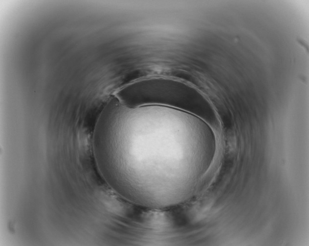 X0000096220276200801251103