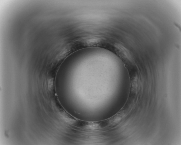 X0000096220278200801251103