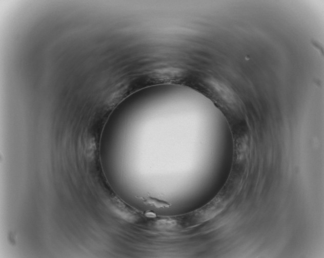 X0000096220279200801251103