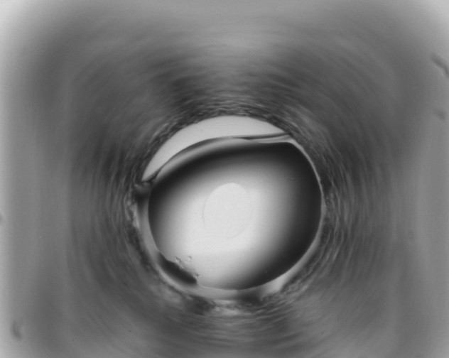 X0000096220280200801251103