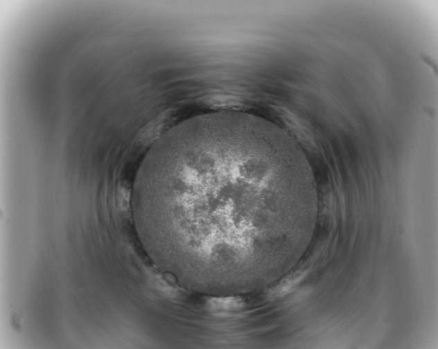 X0000096220281200801251103