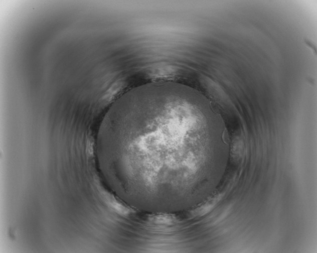 X0000096220282200801251103