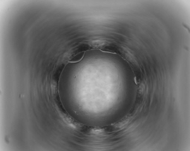 X0000096220283200801251103