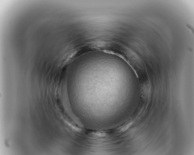 X0000096220284200801251103