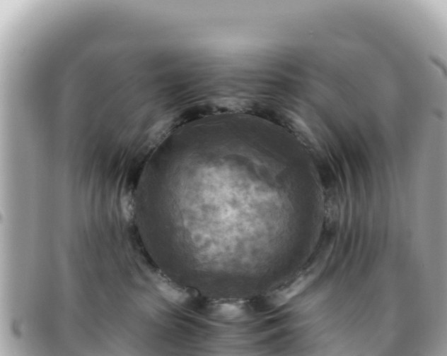 X0000096220285200801251104