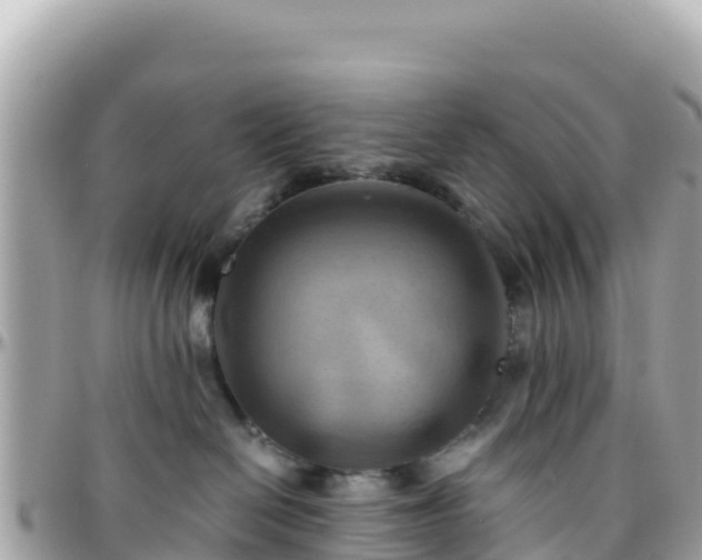 X0000096220286200801251104