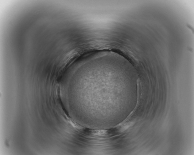 X0000096220288200801251104