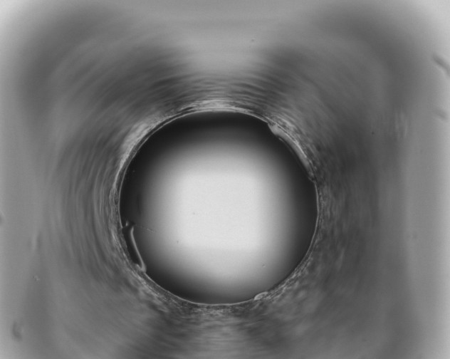 X0000096220289200801251103