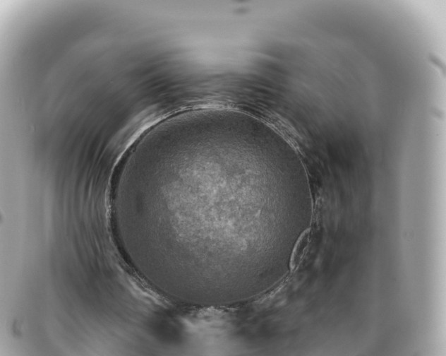 X0000096220290200801251103