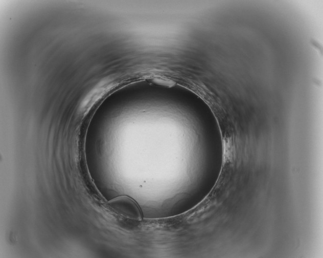 X0000096220291200801251103