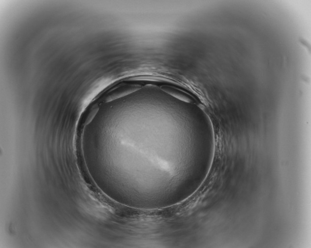 X0000096220292200801251103