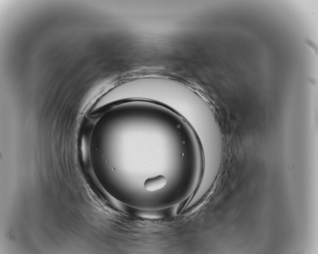 X0000096220293200801251103