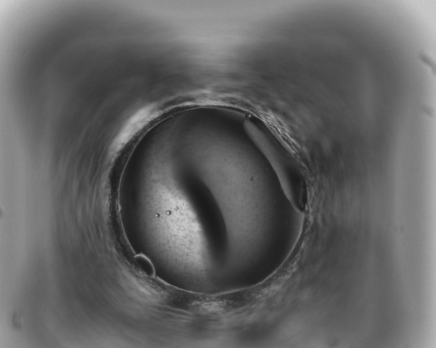 X0000096220295200801251103