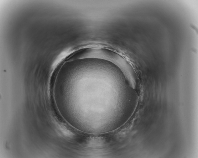 X0000096220296200801251103