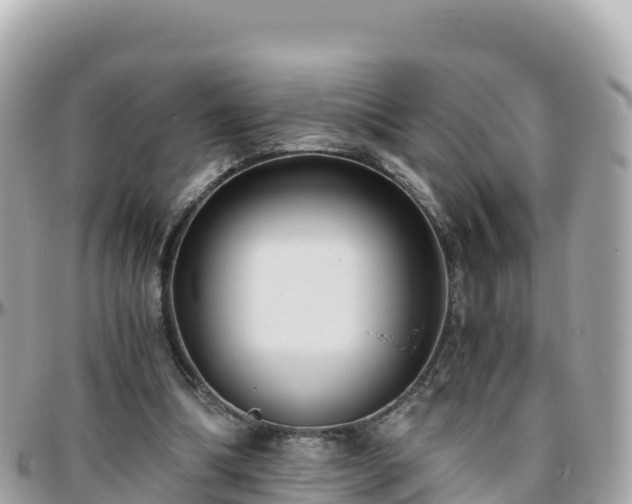 X0000096220298200801251103