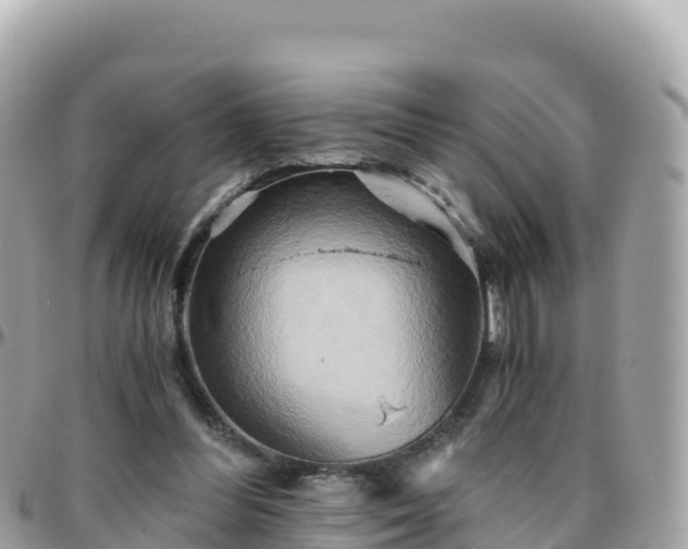 X0000096220300200801251103