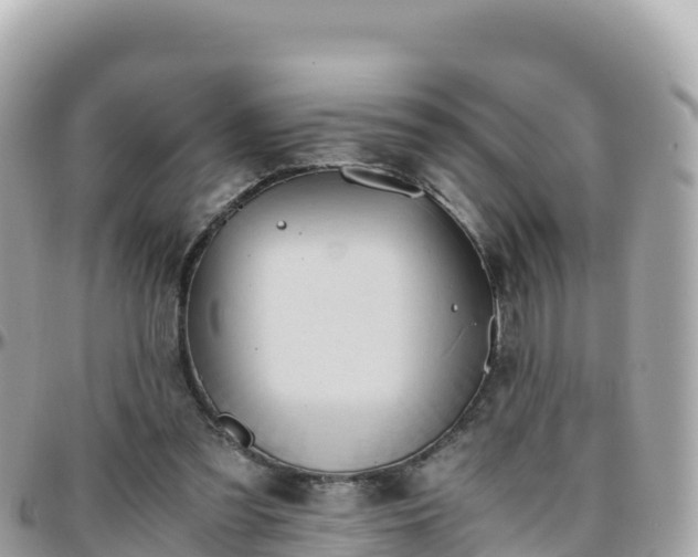 X0000096220301200801251103