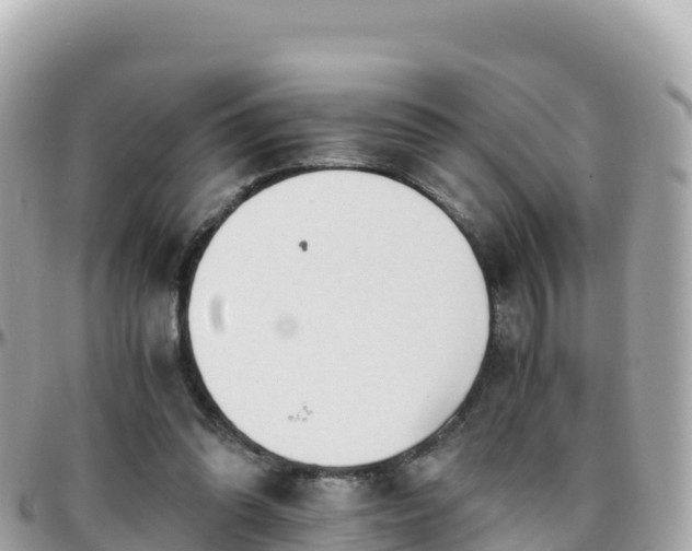 X0000096220302200801251103