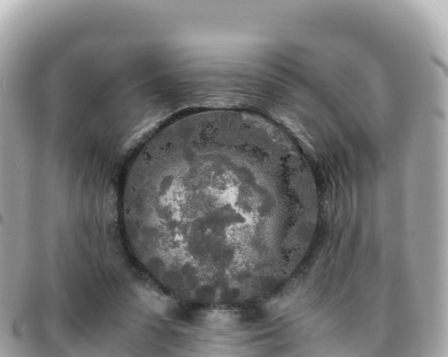 X0000096220303200801251103