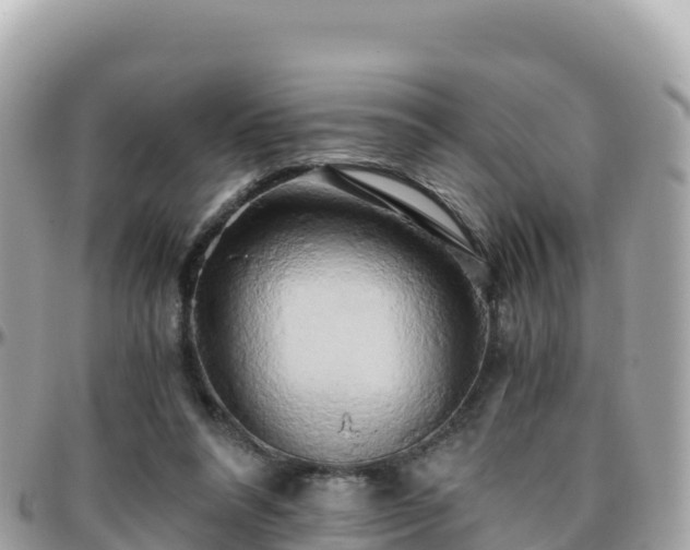 X0000096220304200801251103