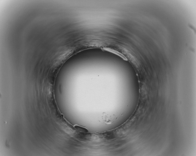 X0000096220305200801251103