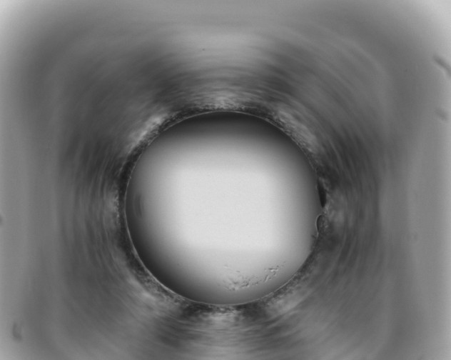 X0000096220306200801251103