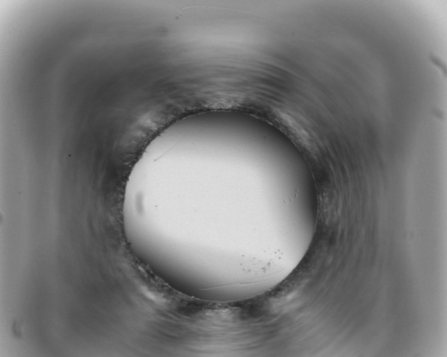 X0000096220307200801251103