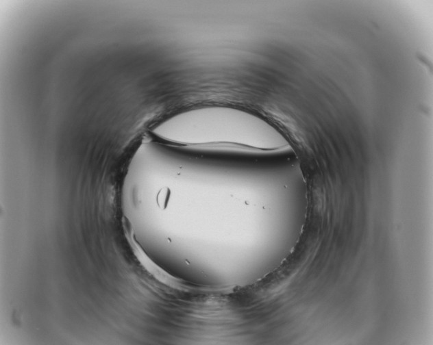 X0000096220308200801251103