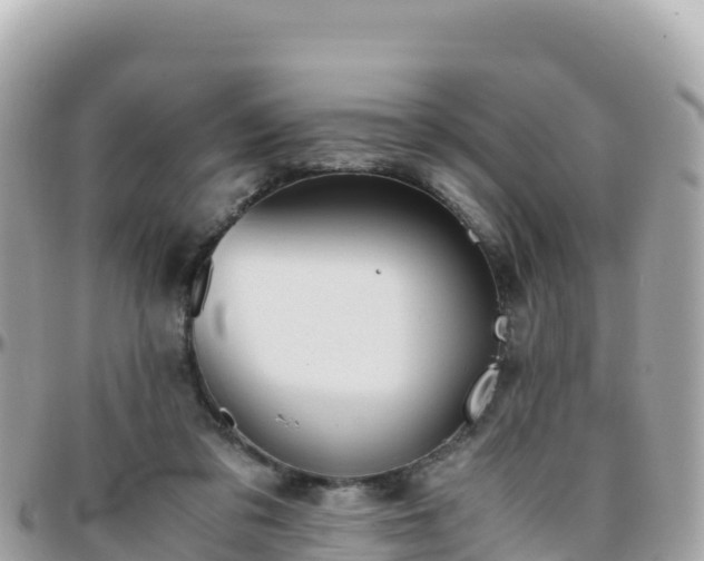 X0000096220309200801251103