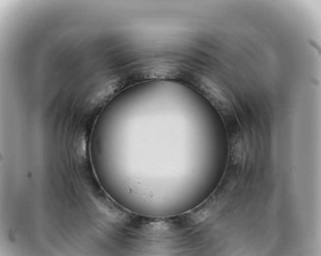 X0000096220310200801251103