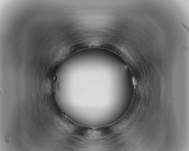 X0000096220311200801251103