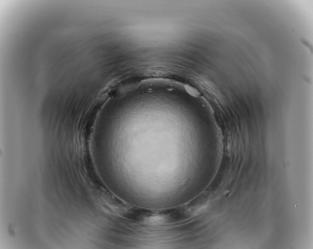 X0000096220312200801251103