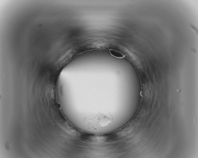 X0000096220313200801251103