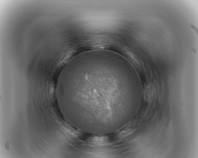 X0000096220314200801251103