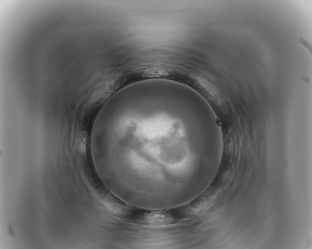 X0000096220315200801251103