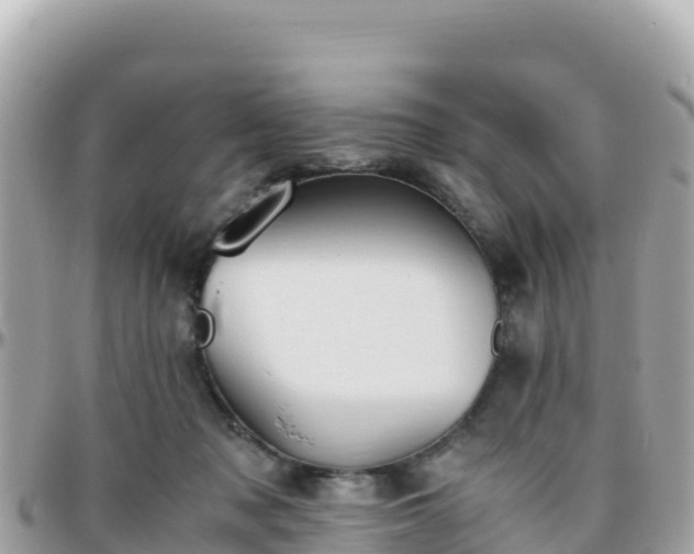 X0000096220317200801251103