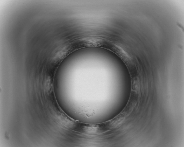 X0000096220318200801251103