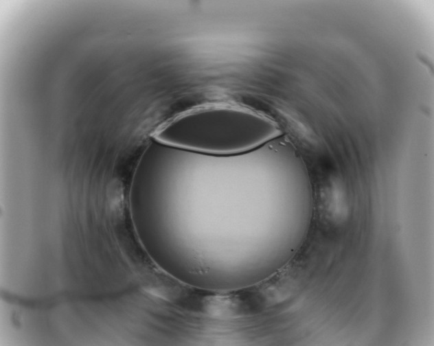 X0000096220320200801251102