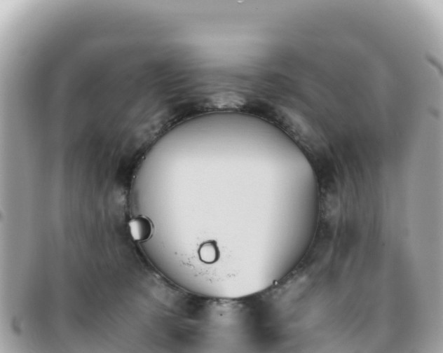 X0000096220321200801251102