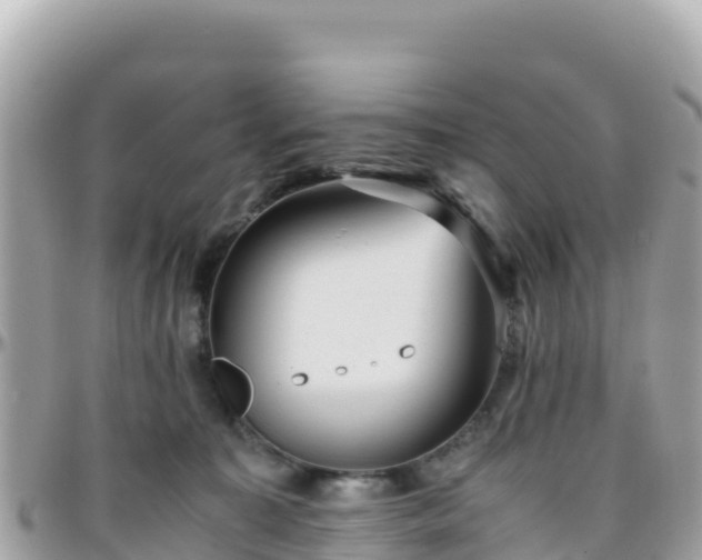 X0000096220323200801251102