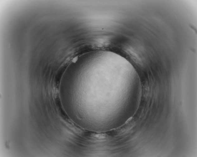 X0000096220324200801251102