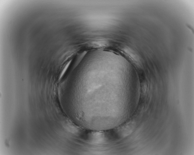 X0000096220325200801251102